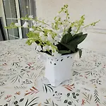 Apartament Bonjour Vendeghaz