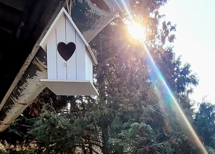Bonjour Appartamento